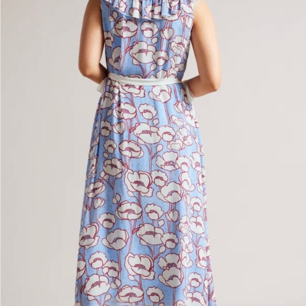 TED BAKER London dress.TED size4.US size10.Poppy print. - Picture 5 of 12